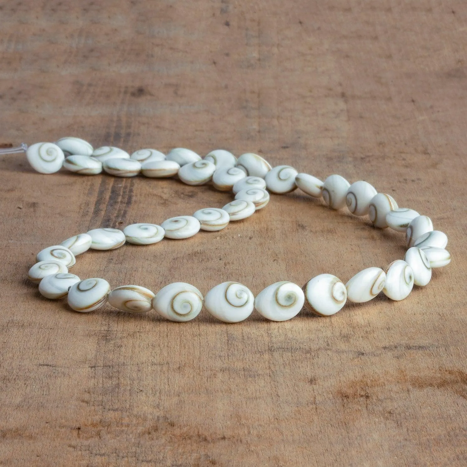 10x8mm Shiva Eye Shell Ovals 16 inch 41 beads