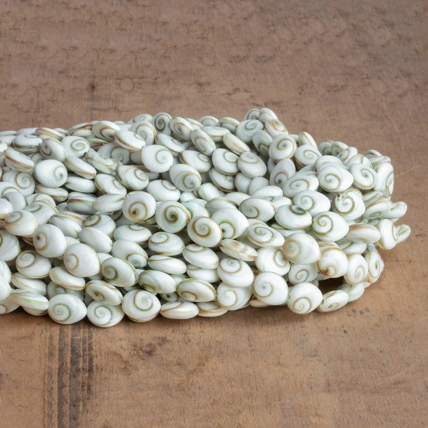 10x8mm Shiva Eye Shell Ovals 16 inch 41 beads