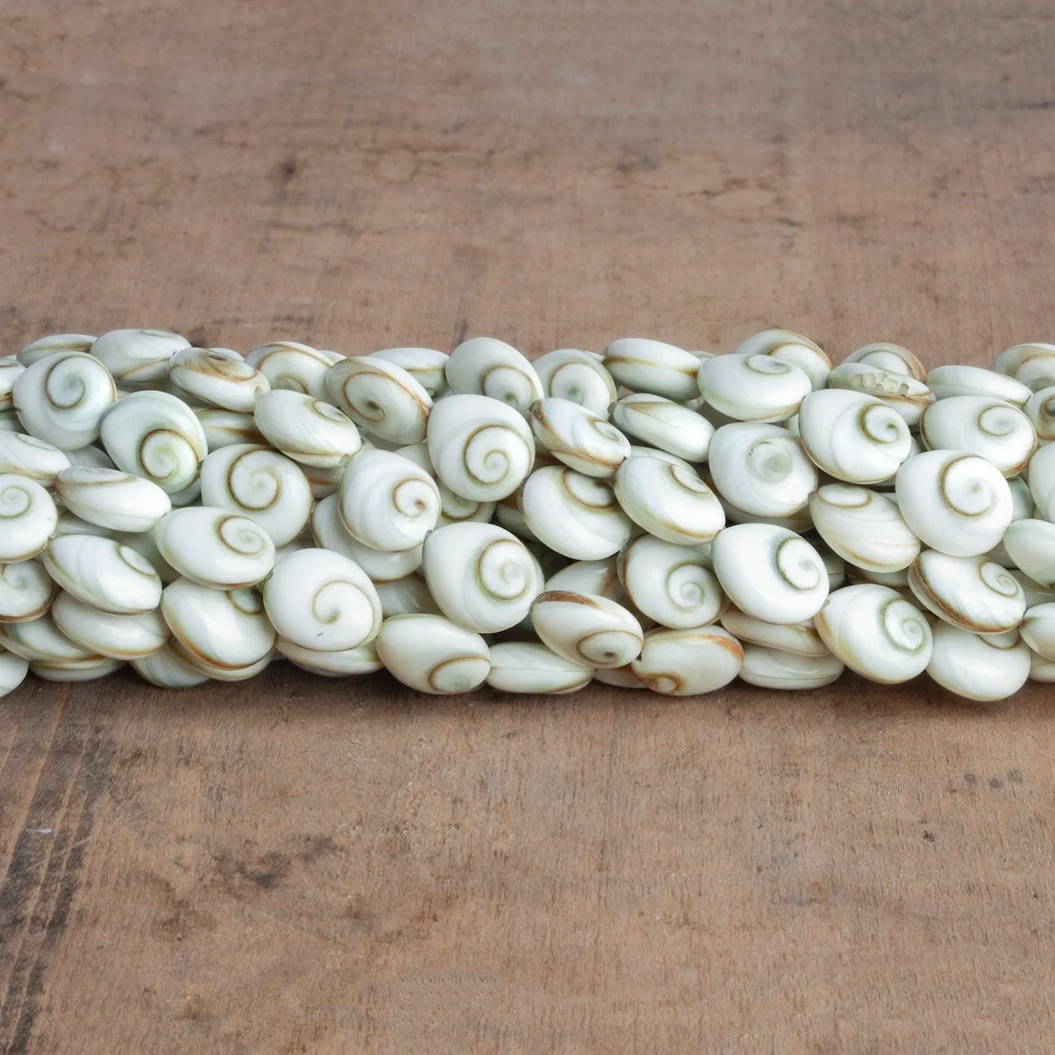 10x8mm Shiva Eye Shell Ovals 16 inch 41 beads
