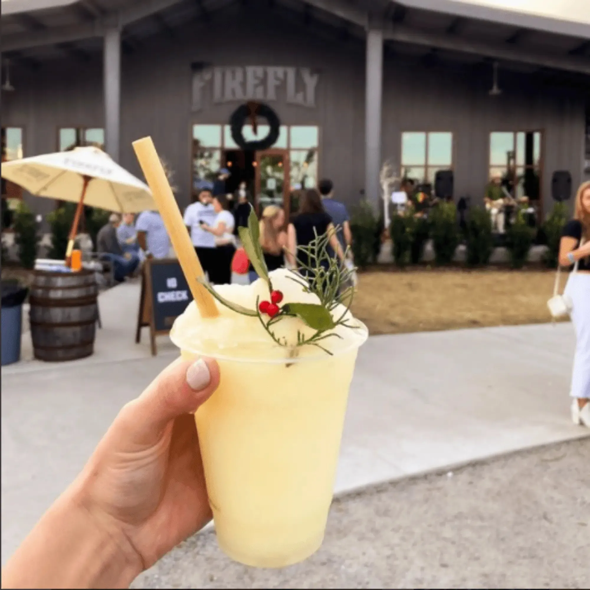 7.9" Jumbo Reed Straws | 10CT. | - 5 Pack Bundle