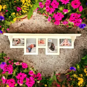 Chesapeake Collage 5 Photo Wall Frame Display Shelf