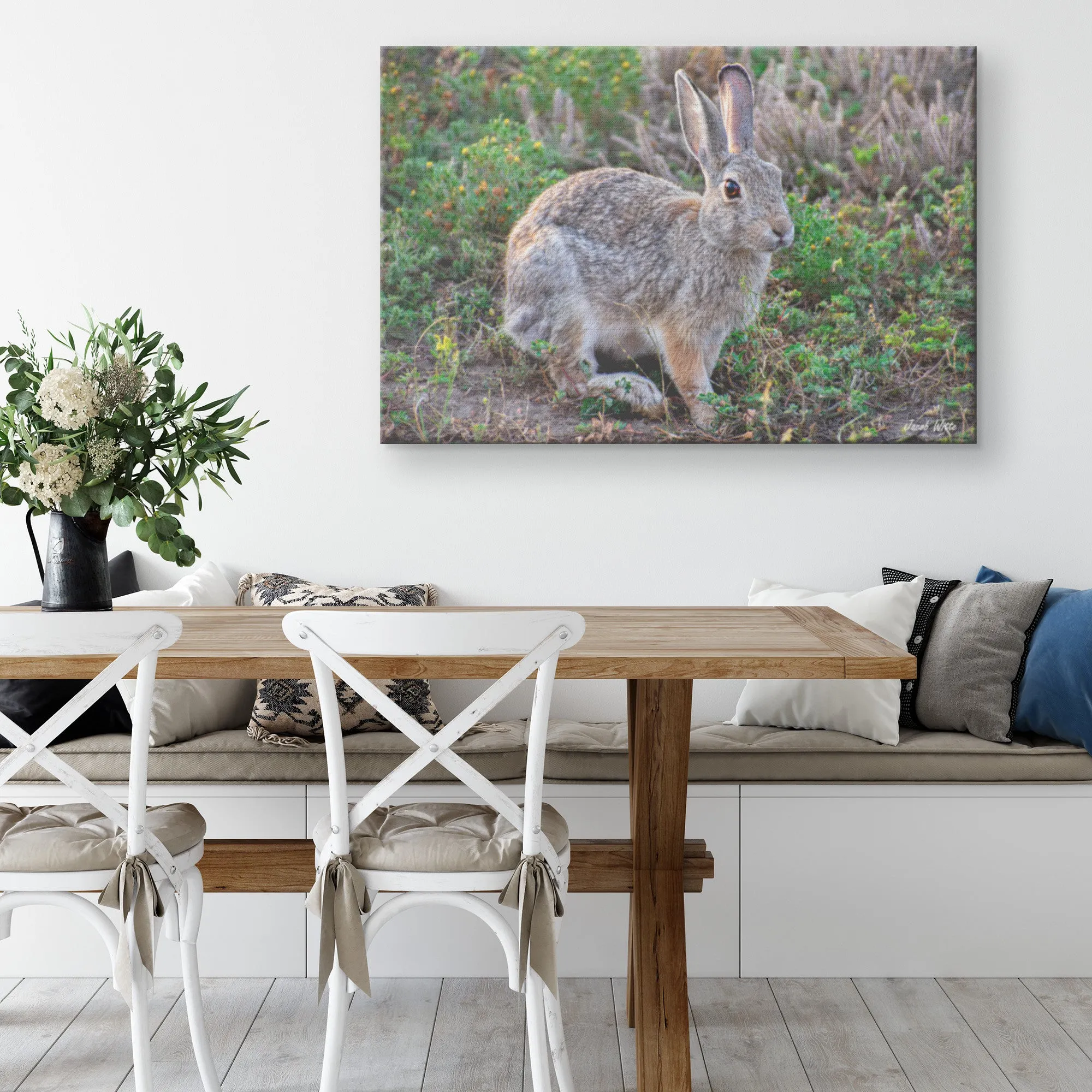Cottontail Canvas by Jacob Witte