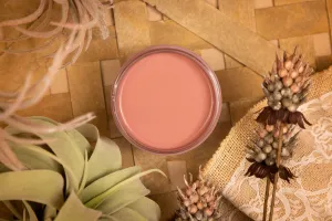 Desert Rose Silk Mineral Paint