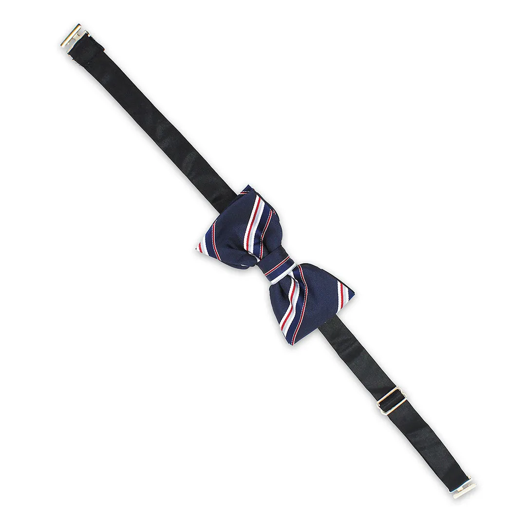 Kavove The Striped Trend Setter Blue Colour Bow Tie