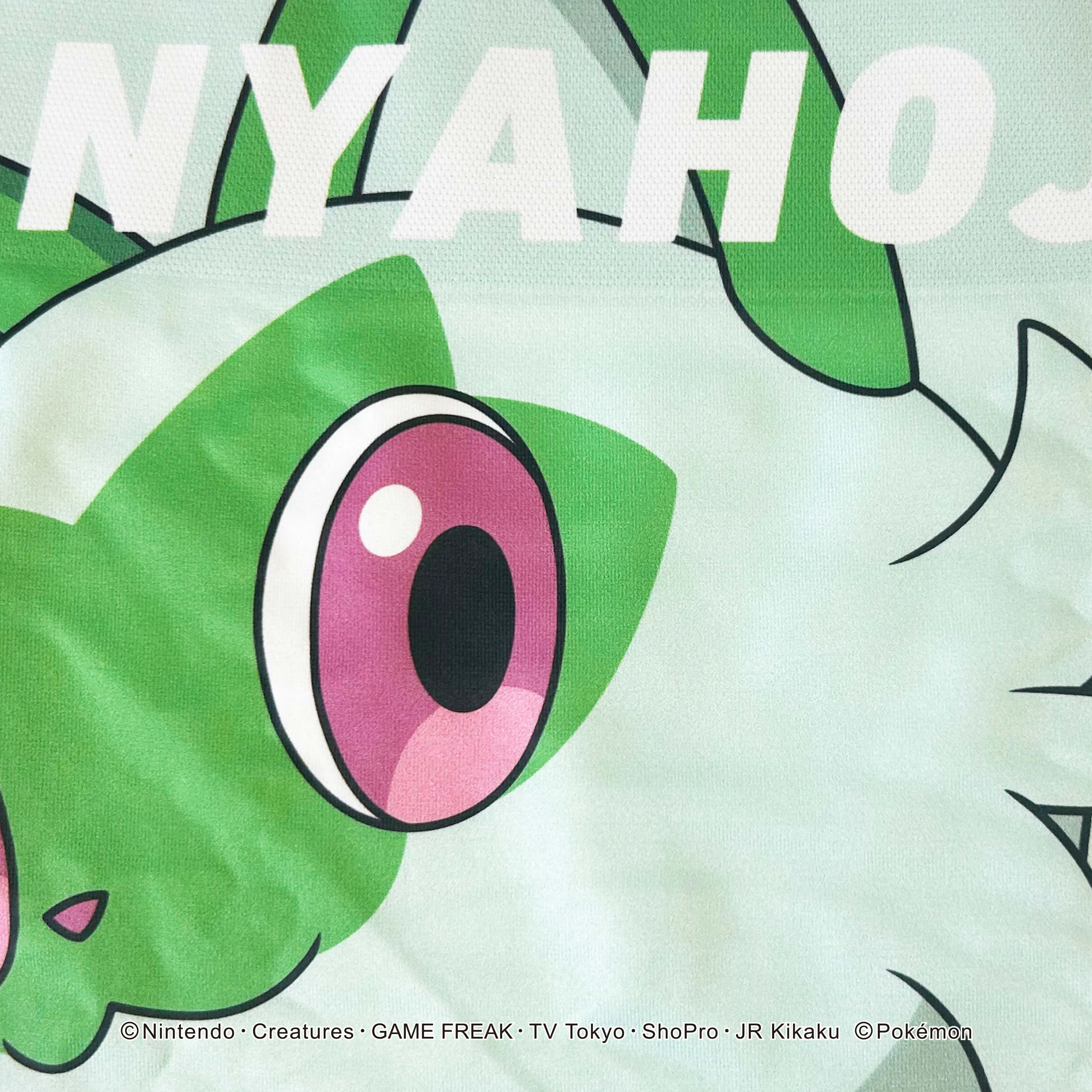 ＜ポケモン＞SHINKA SET/ニャオハ/ニャローテ/マスカーニャ ポケットモンスター POKÉMON アンダーパンツ メンズ/レディース/ユニセックス ポリエステルタイプ