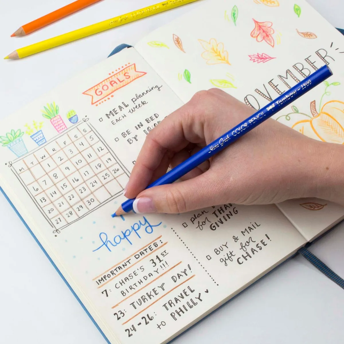 Tombow 12 Colored Pencils